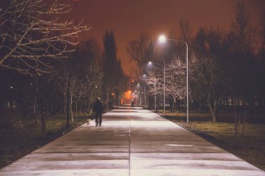 ışıkları ile gece park