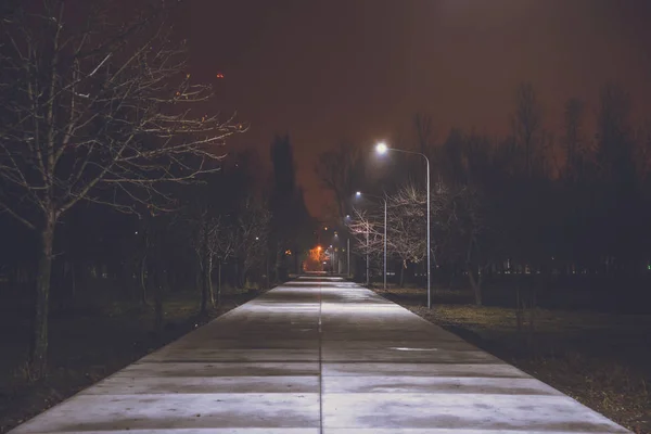 Parque noturno com luzes — Fotografia de Stock