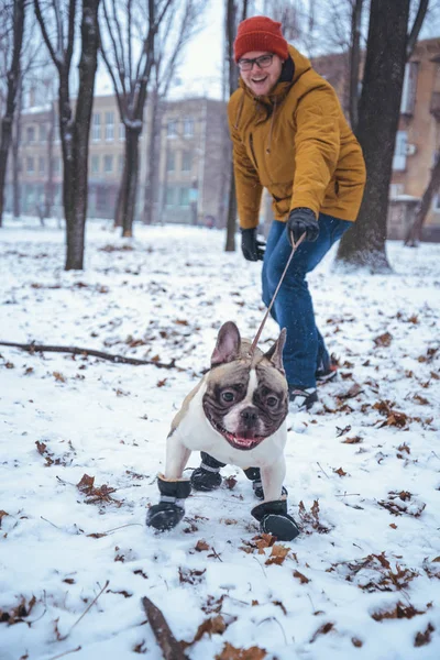 French Bulldog dog playingin the winter with man