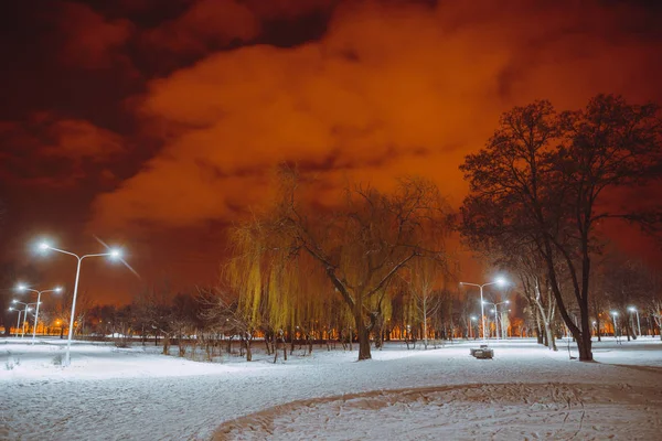 Nacht landschap in winter stad — Stockfoto