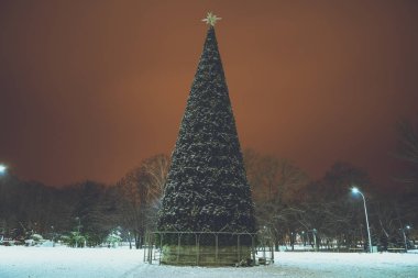 Noel ağacı parkın ortasında