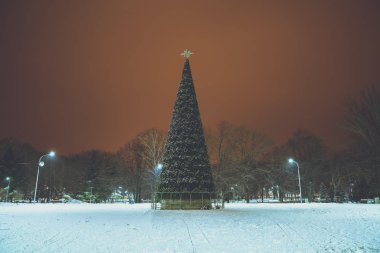 Noel ağacı parkın ortasında