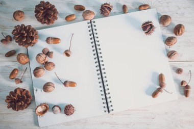 meşe palamutları ve koniler ile not defterini açın