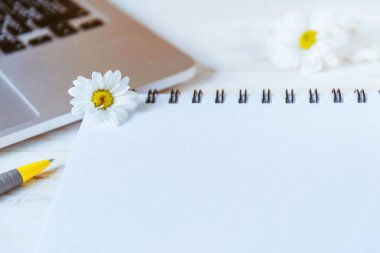 Ofis Masası bilgisayar laptop, defter, kalem ile çalışmak