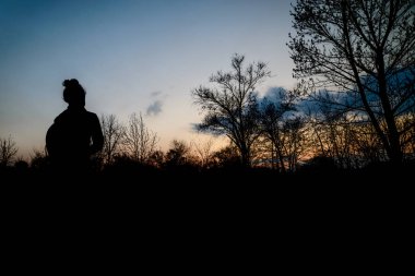 Sunset bulvarında arayan yung kadın