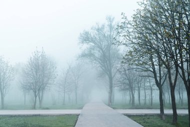 sabah sis ile Şehir Parkı