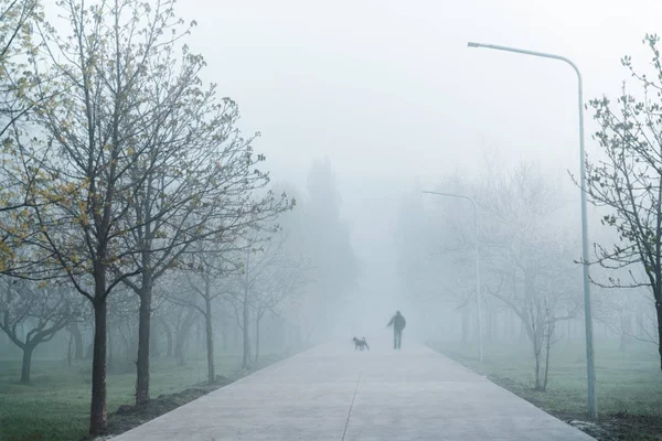 Morning city park in fog