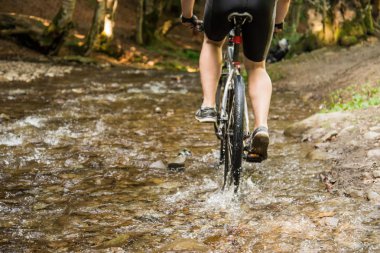 Orman akışı hız Mountainbiker