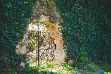 Ivy, eski Iron gate