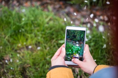 Yanında dere ormanda smartphone fotoğrafları yapma