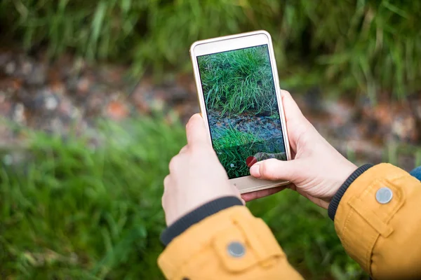 Hacer fotos por teléfono inteligente de arroyo en el bosque — Foto de Stock