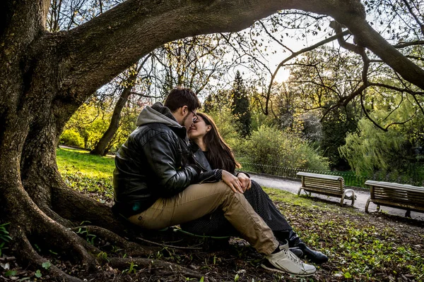 Couple sits under tree on sunset — Stock Photo, Image