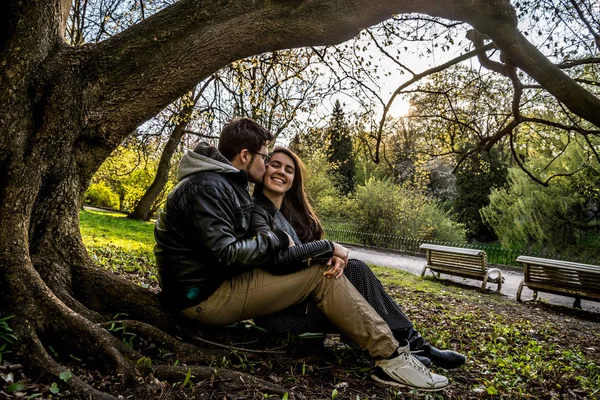 Couple sits under tree on sunset — Stock Photo, Image