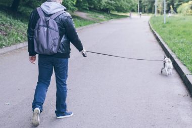 Fransız buldozer şehir parkı ile adam yürümek