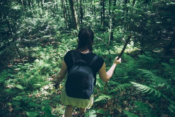 Călător femeie drumeții în pădure — Fotografie, imagine de stoc