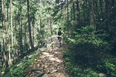 Karpat içinde yürüyüş sırt çantası ile genç bayan uzun yürüyüşe çıkan kimse