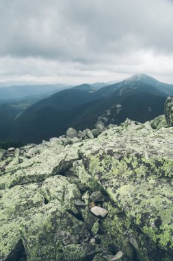 carpathain dağlarında manzara