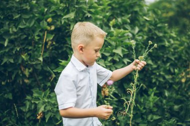 Çocuk park alanı çiçek toplama