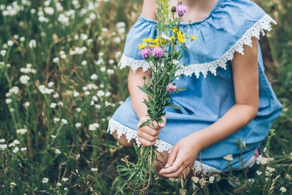 Jovem menina smalling campo flores — Fotografia de Stock