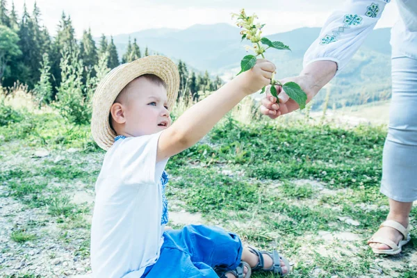 Niño sentado en el suelo en la cima de las montañas y dando arbusto de menta para adultos —  Fotos de Stock