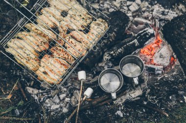Tavuk eti ile şenlik ateşi üzerinde Üstten Görünüm