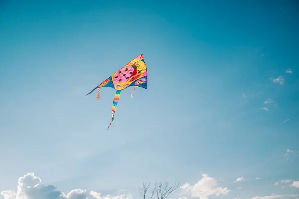 Papagaio no céu — Fotografia de Stock