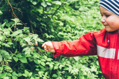 Ahududu bir çalı kapalı küçük bir çocuk çeker