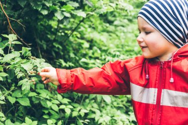 Ahududu bir çalı kapalı küçük bir çocuk çeker