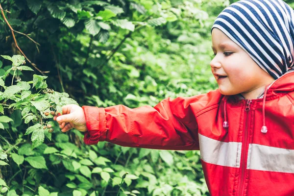 Ahududu bir çalı kapalı küçük bir çocuk çeker