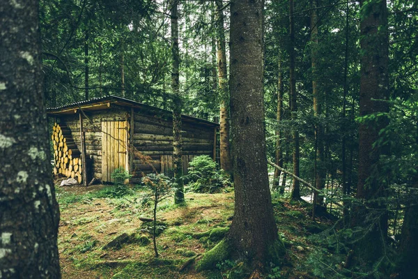 Old wooden barn in the middle of the forest — Stock Photo, Image