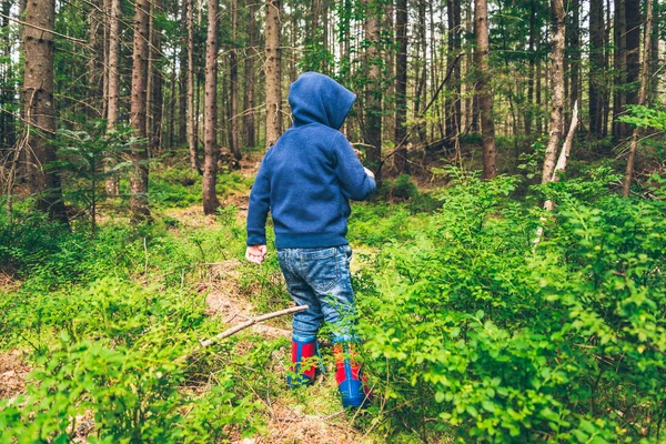 Un petit enfant mange des myrtilles dans la forêt — Photo