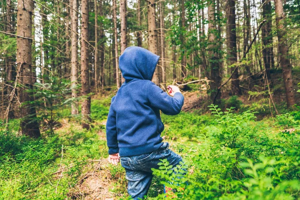 Copilul mănâncă afine în pădure — Fotografie, imagine de stoc