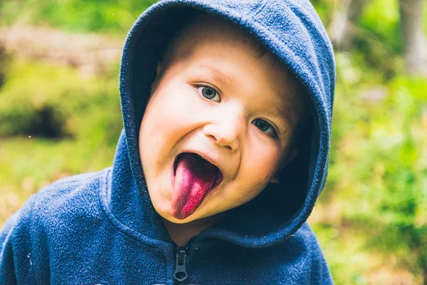 작은 아이 숲에서 블루베리를 먹을 — 스톡 사진