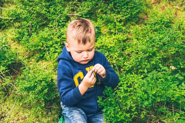 Un petit enfant mange des myrtilles dans la forêt — Photo