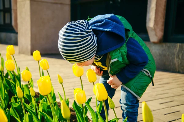 Niño pequeño oliendo tulipán en el jardín en el día de primavera — Foto de Stock