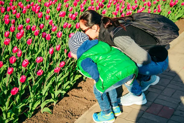 Mutter mit Sohn riecht Tulpe am Frühlingstag — Stockfoto