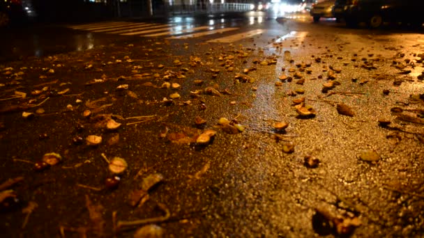 Noche raod ciudad con hojas de atutmn amarillo en el camino — Vídeo de stock