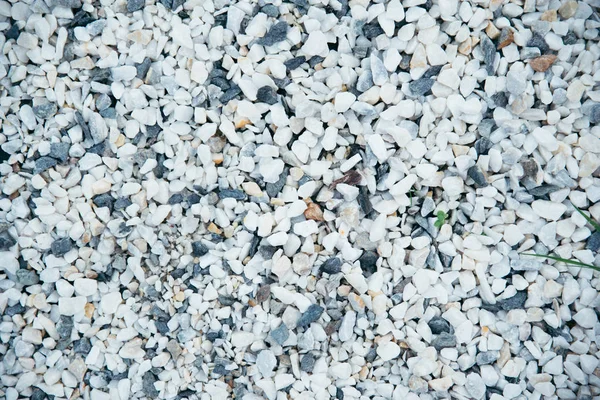 White pebble on the small garden ground inside the house. — Stock Photo, Image