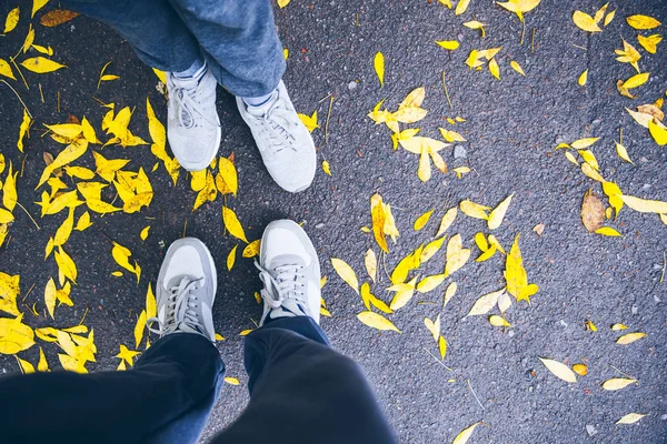 Cuplu picioare vedere de sus cu frunze de sol și galben — Fotografie, imagine de stoc