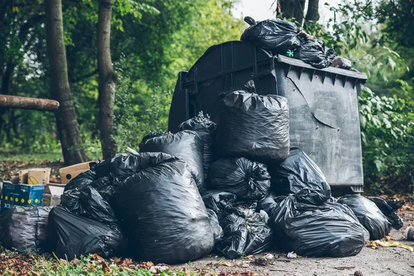 Tam çöp konteynerleri