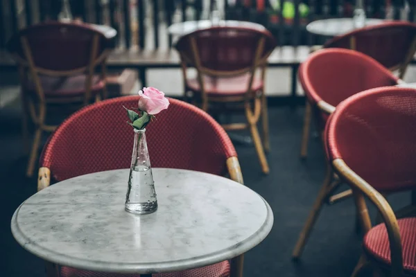 Flor en jarrón sobre la mesa del café — Foto de Stock