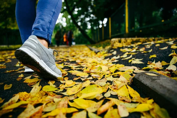 Scarpe da ginnastica piedi camminando sulle foglie autunnali — Foto Stock