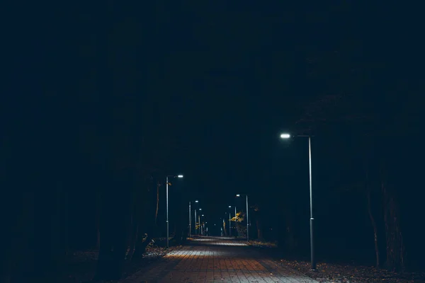Městský park v noci — Stock fotografie