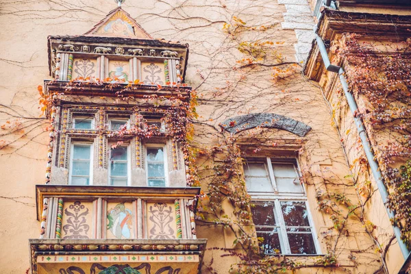 Őszi nap-régi épület borostyán — Stock Fotó