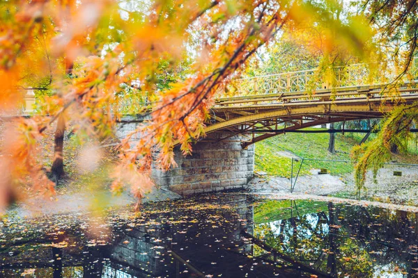 Осінній сільський лісовий пейзаж. парк з річкою — стокове фото