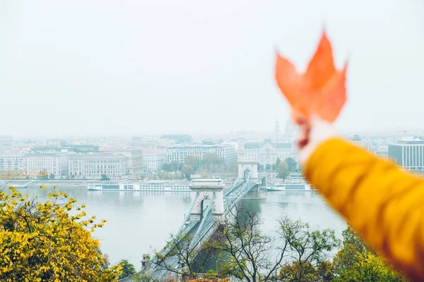 Рука держать желтый лист со старым eauropean города на заднем плане — стоковое фото