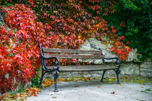 Άδειο παγκάκι στο Φθινοπωρινό πάρκο μεταξύ πεσμένα φύλλα — Φωτογραφία Αρχείου