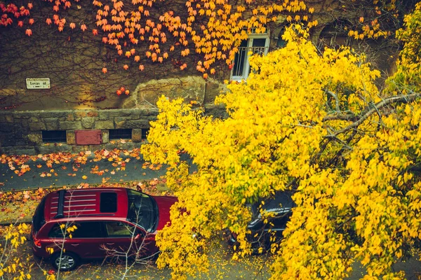 Vieja ciudad europea vista de la calle en el día de otoño — Foto de Stock