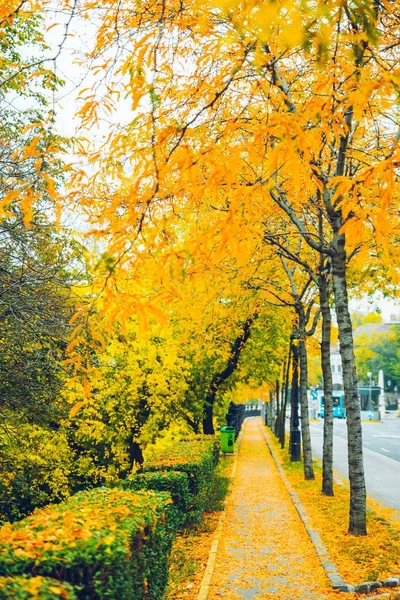Velha cidade europeia vista de rua no dia de outono — Fotografia de Stock