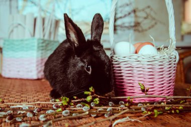 tavşan sepet yumurta ile yakın